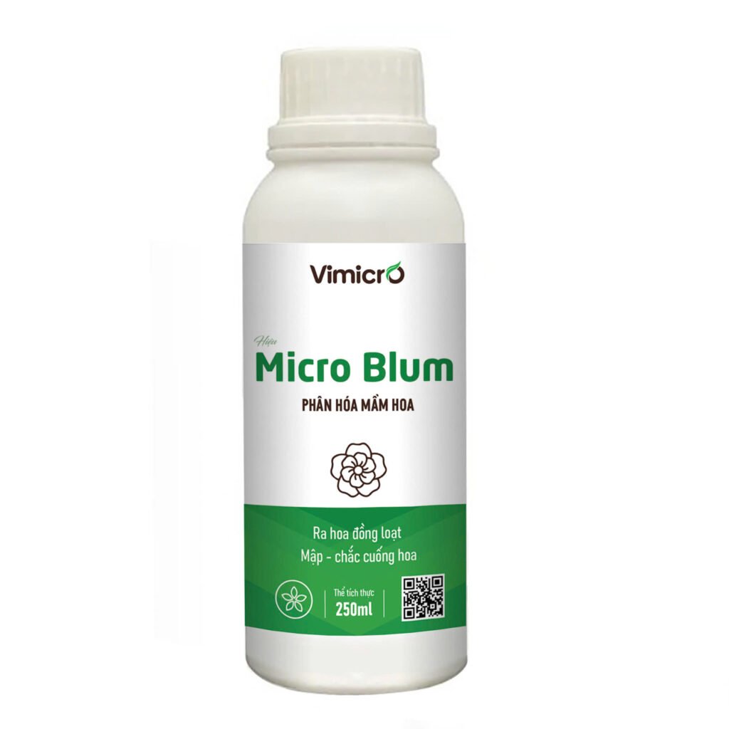 Chế phẩm sinh học Micro Blum – Phân hoá mầm hoa cho cây trồng