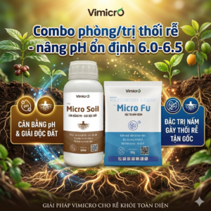 Combo phòng/trị thối rễ Micro Fu và Micro Soil - nâng pH ổn định 6.0-6.5