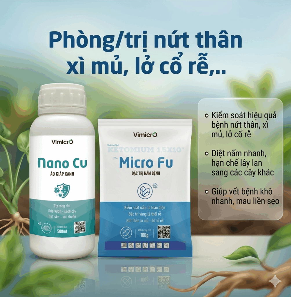 Combo thuốc đặc trị nứt thân xì mủ, lỡ cổ rễ Micro Fu và Nano Cu