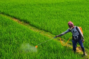 Thuốc Trừ Bệnh Sinh Học Cho Cây Trồng – Giải Pháp Canh Tác Bền Vững