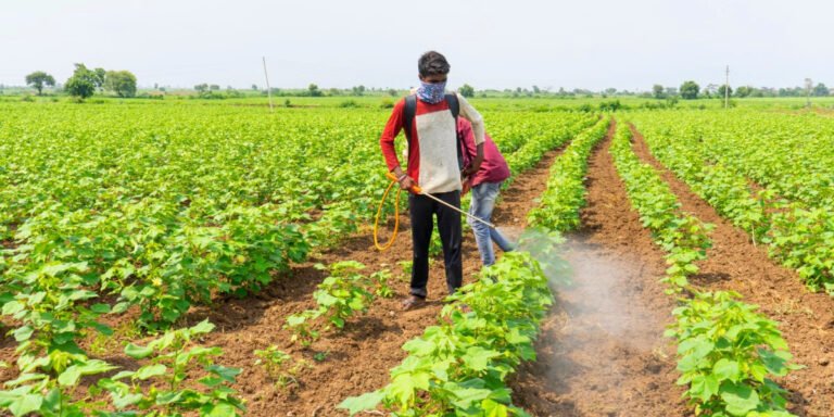 Thuốc trừ sâu sinh học có độc hại không?