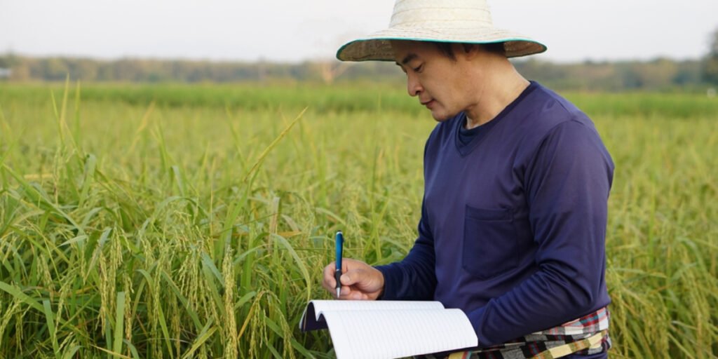 Tìm hiểu về các bệnh thường gặp trên cây lúa: Dấu hiệu nhận biết và cách phòng trừ hiệu quả